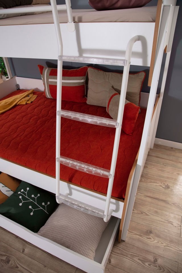 T.Ü. Geniş Ranza (Zebrano)