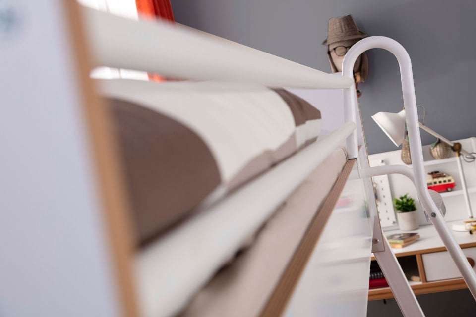 T.Ü. Geniş Ranza (Zebrano)